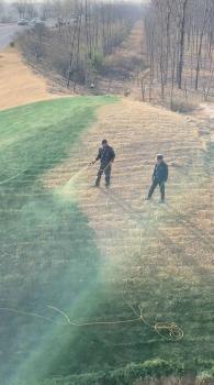 陕西一地给枯草喷颜料？官方回应 实为营养液维护