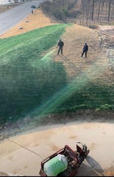 陜西一地給枯草噴顏料 當(dāng)?shù)鼗貞?yīng) 實(shí)為營(yíng)養(yǎng)液養(yǎng)護(hù)草皮