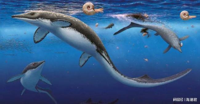 最惨烈的一次大灭绝后，仅300万年，海洋生态竟“神速”重启了 5米长巨兽已称霸海洋