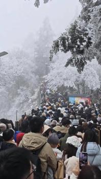 游客：在黑暗中的莽山哭着排队下山 寒风中的人气考验