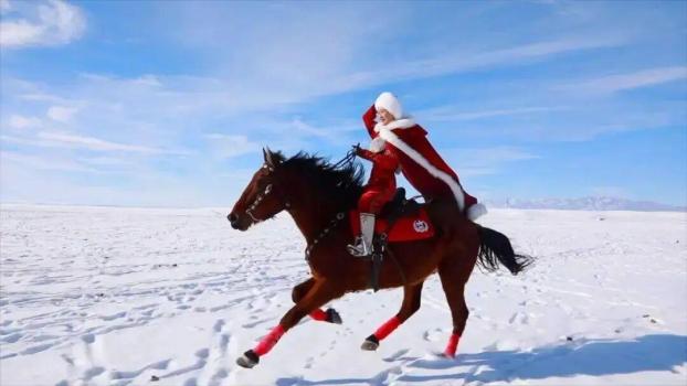 官方：贺娇龙仍在接受救治 坠马受伤情况待更新