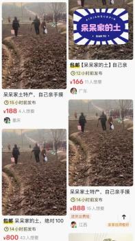 呆呆家村委称未见有人挖土售卖 网络热议“转运土”