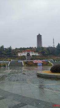 诈骗村支书女子已释放 坚称包养关系 计划申请再审