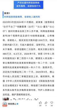 男子不满村委会发视频侮辱诽谤获刑 网络行为受严惩