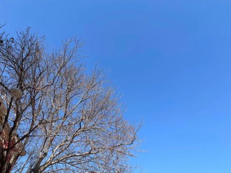 北京今日晴，明日雪，后日大风 未来三天出行速览 注意防寒保暖与出行安全