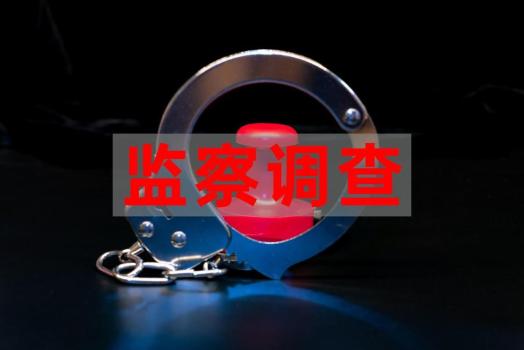 贵州省自然资源厅原一级巡视员被查 两人相继落马