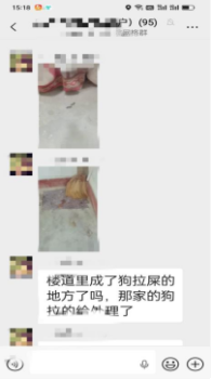 业主把宠物狗带到小区公共泳池洗澡 邻里关系泡汤