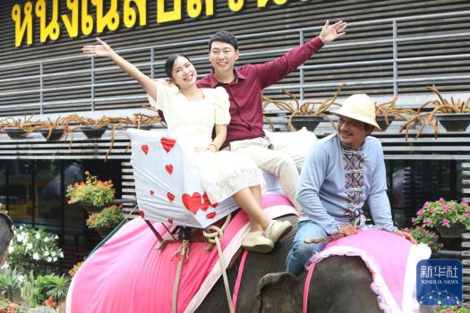 泰国芭堤雅：象背上的集体婚礼 9对情侣喜结连理