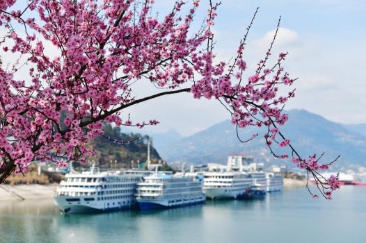 跑步入春！全国入春进程图出炉 南方多地提前入春