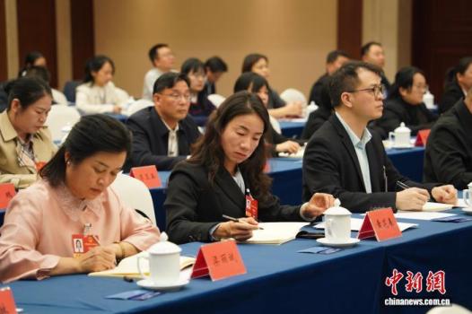 代表建议将心理筛查纳入中小学体检 守护青少年心理健康