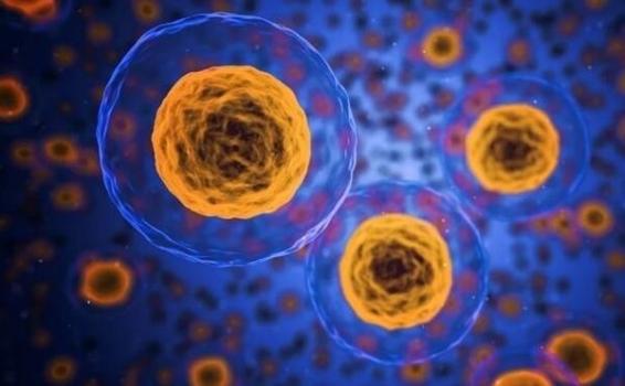 白血病治疗迎来新进展 仿生剂型提升CAR T疗效