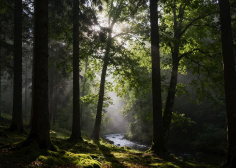 3月12日是我国第48个“植树节”！植树节原来是为了纪念孙中山先生