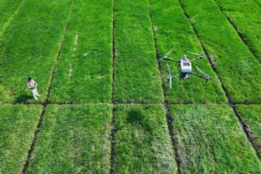 (两会经济热点快评)粮食产量目标再定1.4万亿斤