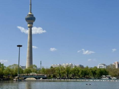 北京玉渊潭天鹅船萌化了 温馨场景吸引市民观赏