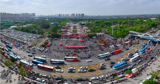 两天48万人次涌进菏泽7大牡丹园！