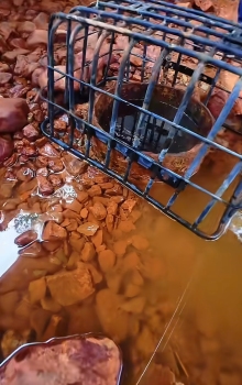 郑州“贾鲁河源头”再断流 专家回应 枯水期正常现象