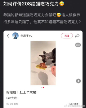 华晨宇给猫报平安 生龙活虎证明无恙