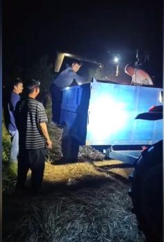 村民患癌住院十多位鄉(xiāng)親幫收20畝麥子 鄰里溫情顯現(xiàn)