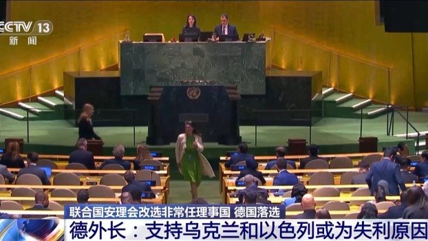 德落選安理會(huì)非常任理事國(guó)說(shuō)明什么 外交政策受質(zhì)疑