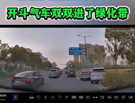 两车斗气相撞冲入绿化带 司机被拘 斗气驾驶引热议
