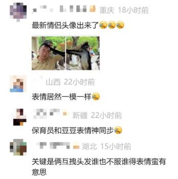 寶寶嘗試投喂白鯨反復(fù)嘗試都丟歪了