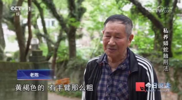 独居男子小区里养300条蟒蛇 非法饲养引发关注