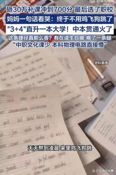 砸30万补课考700分最后选了职校 高分背后的理性选择
