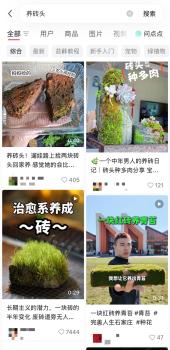 “养砖头”为什么戳中年轻人 低成本治愈新潮流
