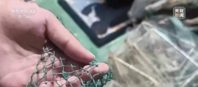 央视曝光不到两小时,三亚启动整治 迅速叫停破坏红树林项目