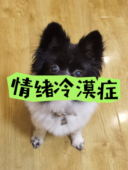 原来这叫情绪冷漠症！