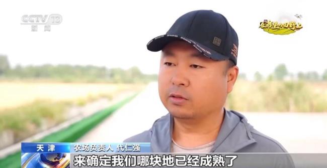 全国秋粮收获进入高峰期 秋收进展顺利有望丰收