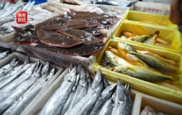 多地水产丰收！沙漠边缘也养出了淡水龙虾