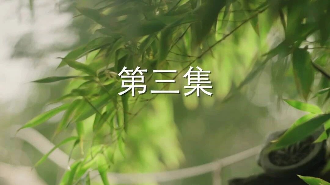 以爱之名丨情定“恭囍”