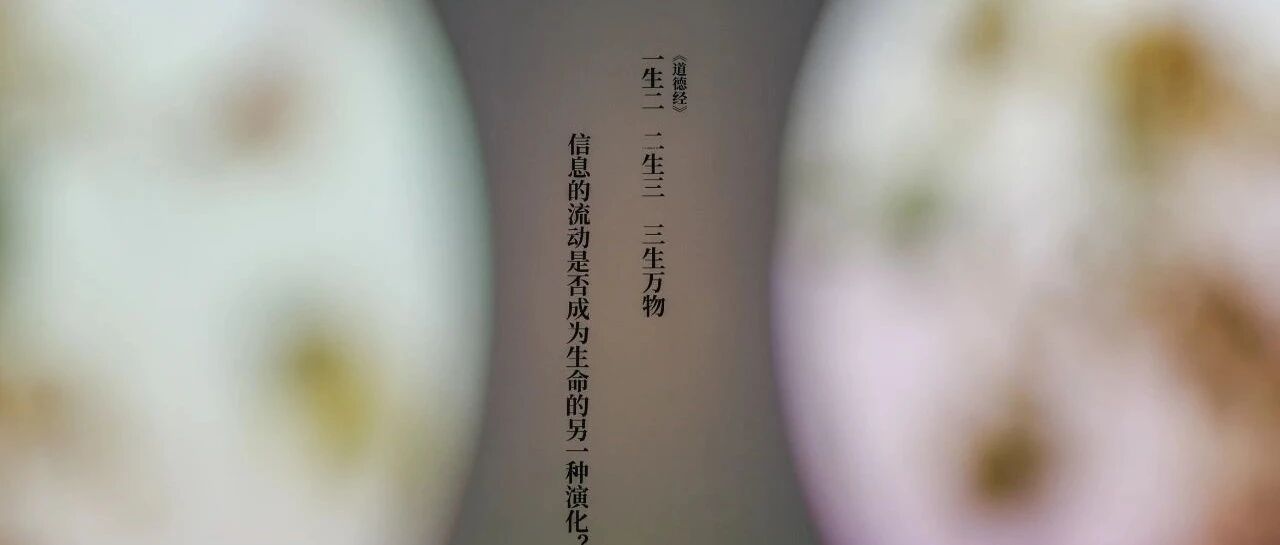 设计之旅｜北京时代美术馆分会场《编码物候——数字与生物交织的宇宙节律》展览开幕