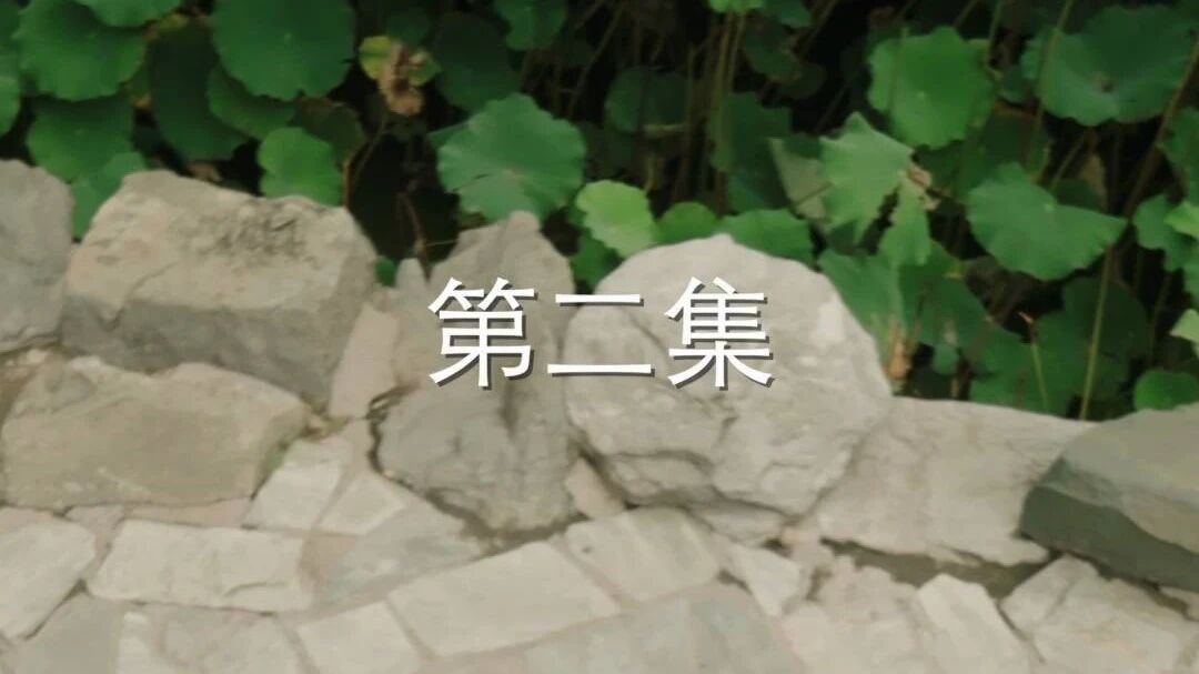 以爱之名丨情定“恭囍”