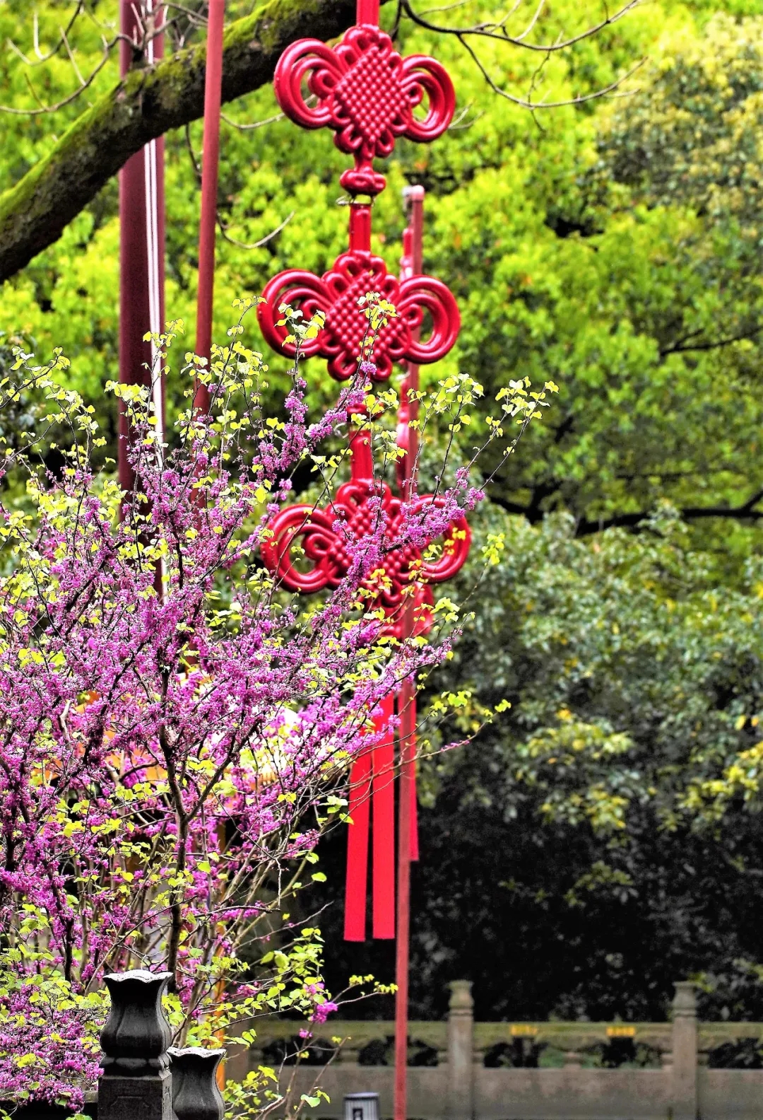 美丽寺院 | 杭州灵隐寺