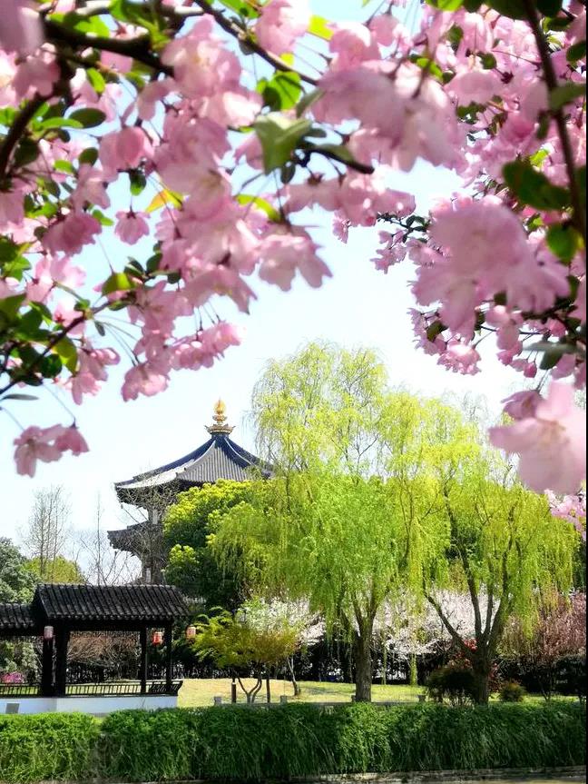 美丽寺院 | 苏州寒山寺