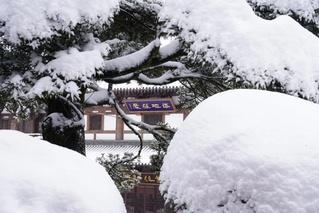 辛丑岁末，径山禅寺再迎瑞雪