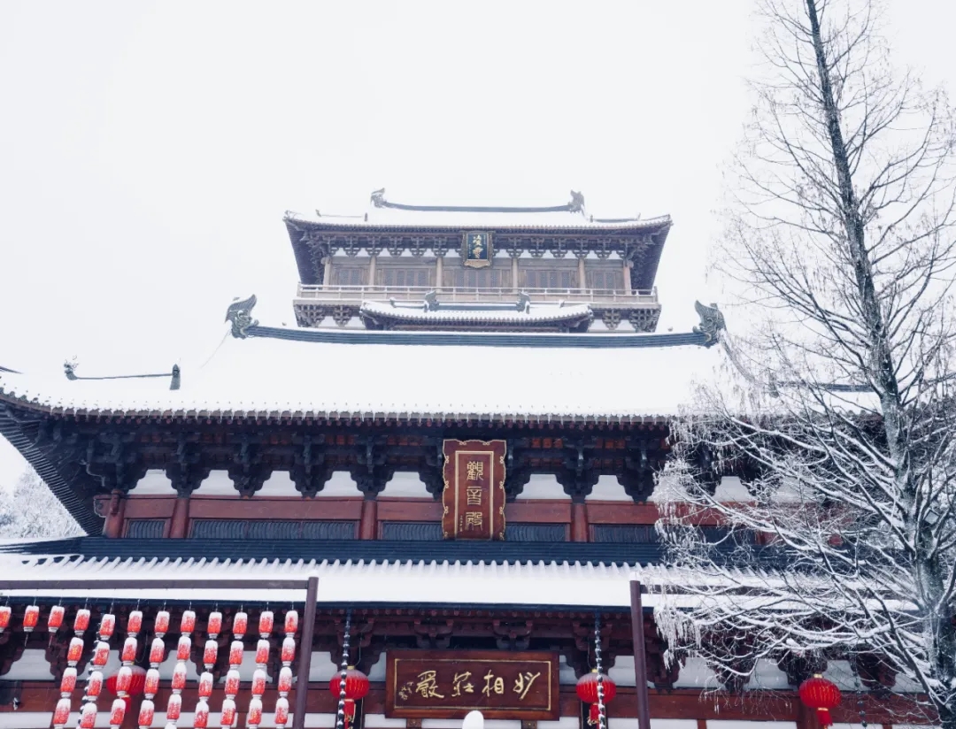 辛丑岁末，径山禅寺再迎瑞雪