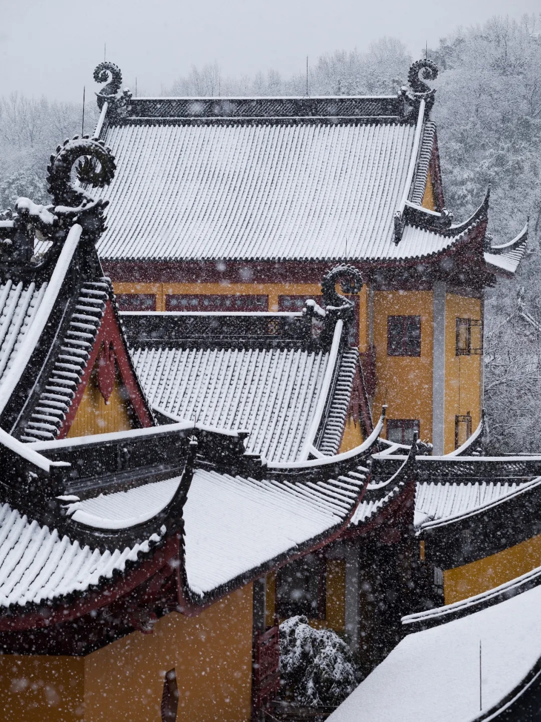 杭州灵隐寺新春瑞雪，雪满乾坤万象新