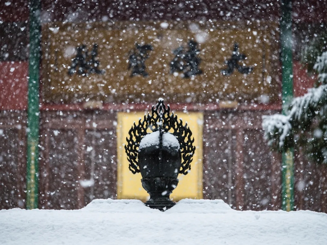 杭州灵隐寺新春瑞雪，雪满乾坤万象新