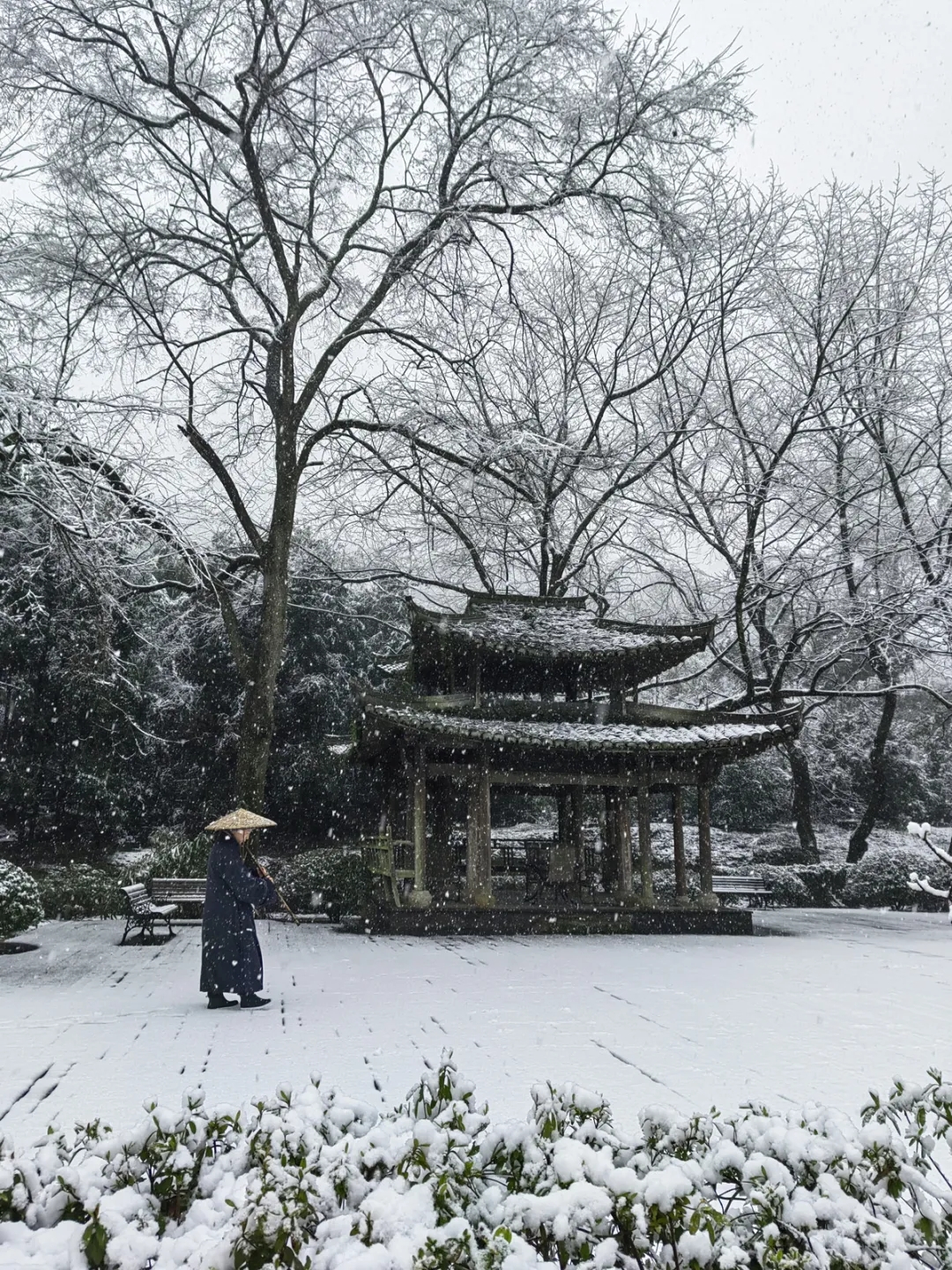 杭州佛學院雪影靜悟禪思1116