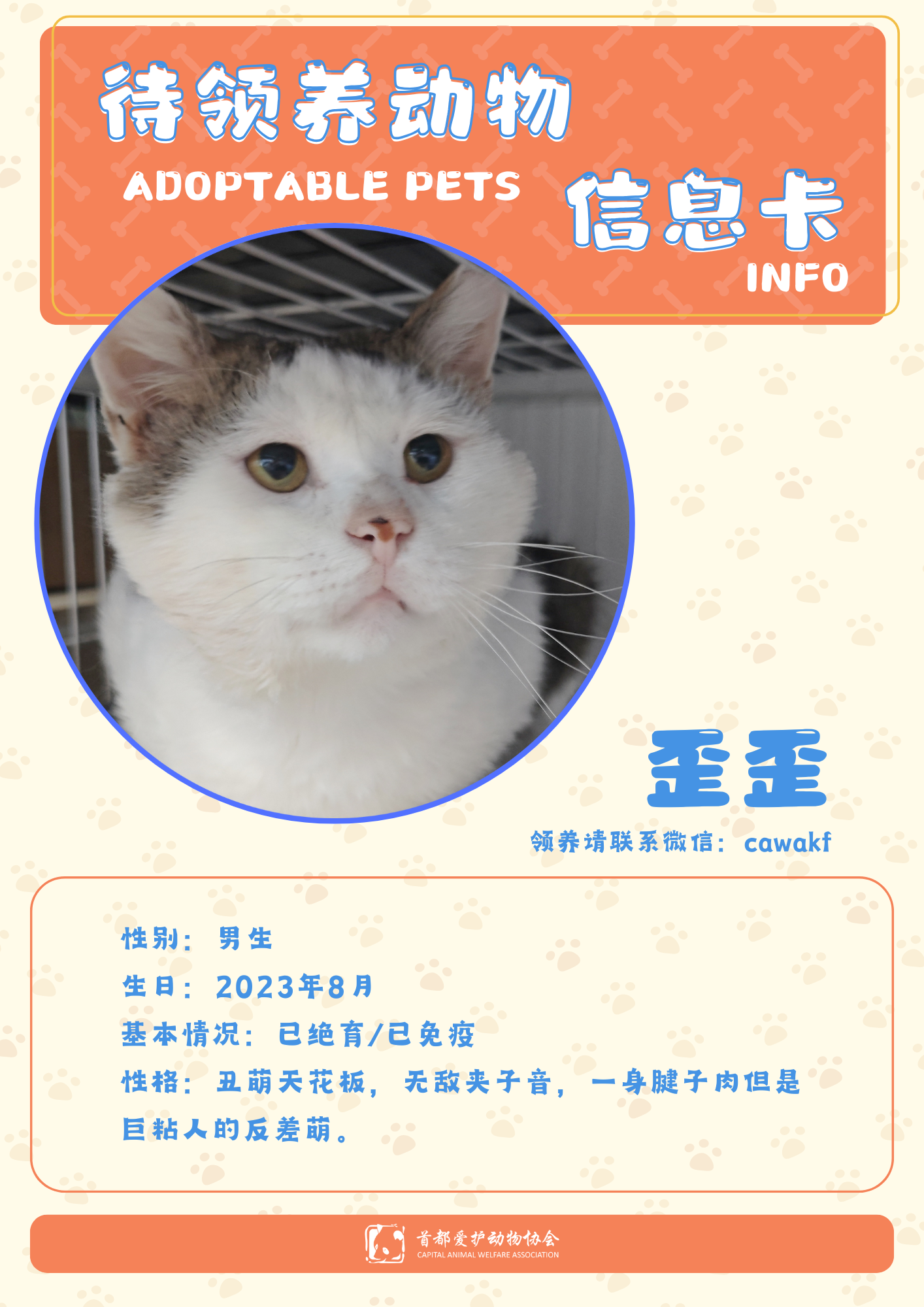 歪歪-猫-2023年8月