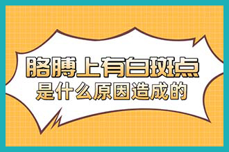 超灵的民间治白斑偏方-白斑患者少吃火龙果