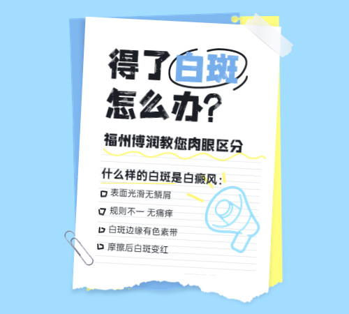 福建福州博润2024年新收费标准？308价格多少